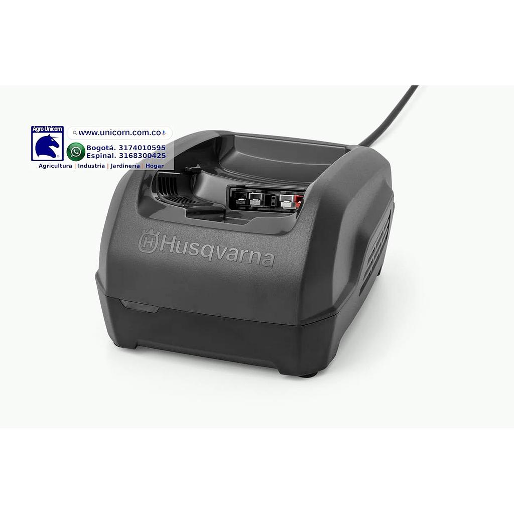Cargador Husqvarna QC250 (para BLi200/BLi300)