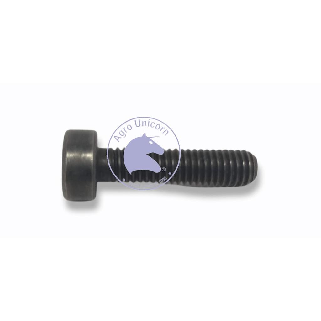 Tornillo torq 6x25